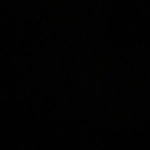 Meet your Posher, Donald